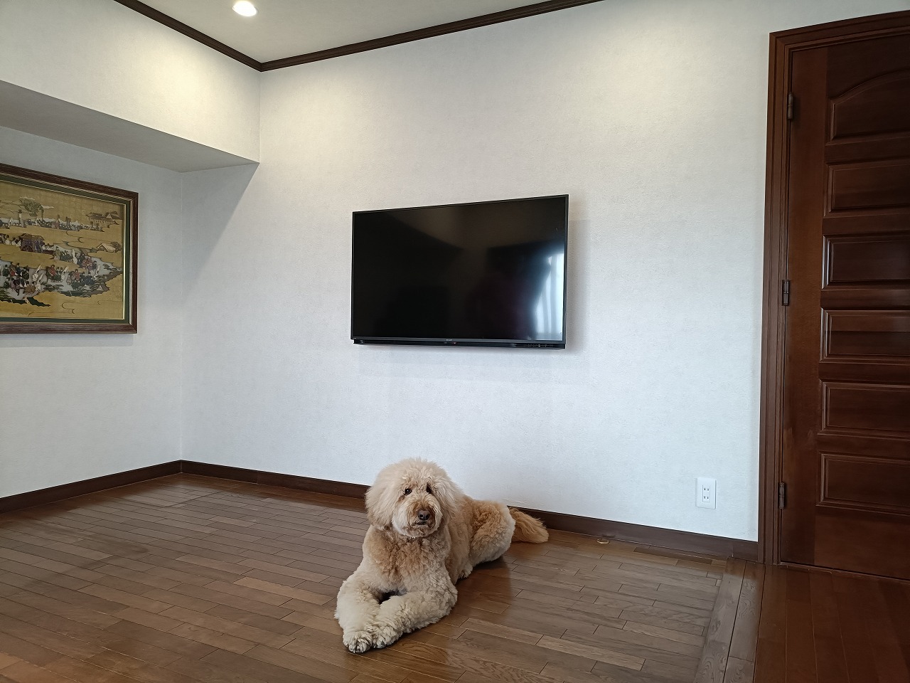 LDK　ペット同伴　マンションリフォーム　名古屋市　カワイ建築工房