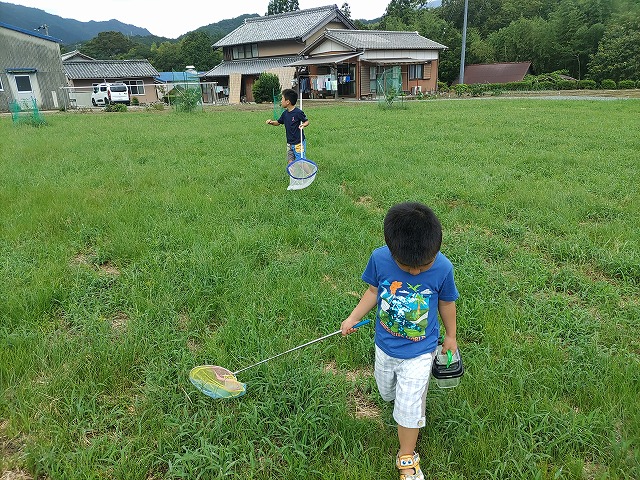 虫取り　夏　三重県　松阪市　公園　知多市　リフォーム　リノベーション　古民家再生　カワイ建築工房