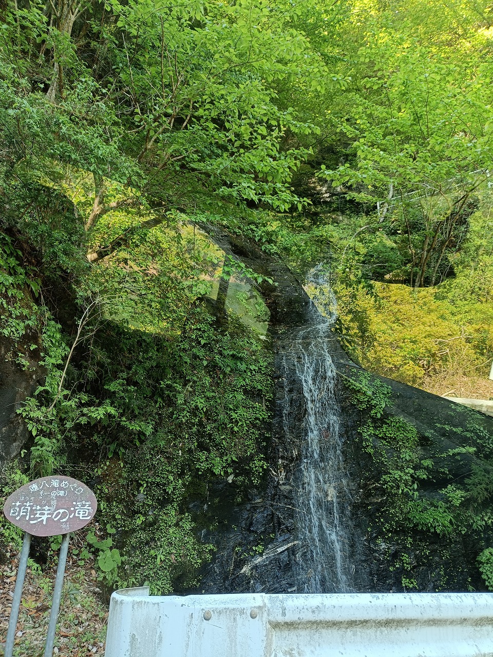 三重県　松阪市　蓮ダム　蓮八滝　萌芽の滝