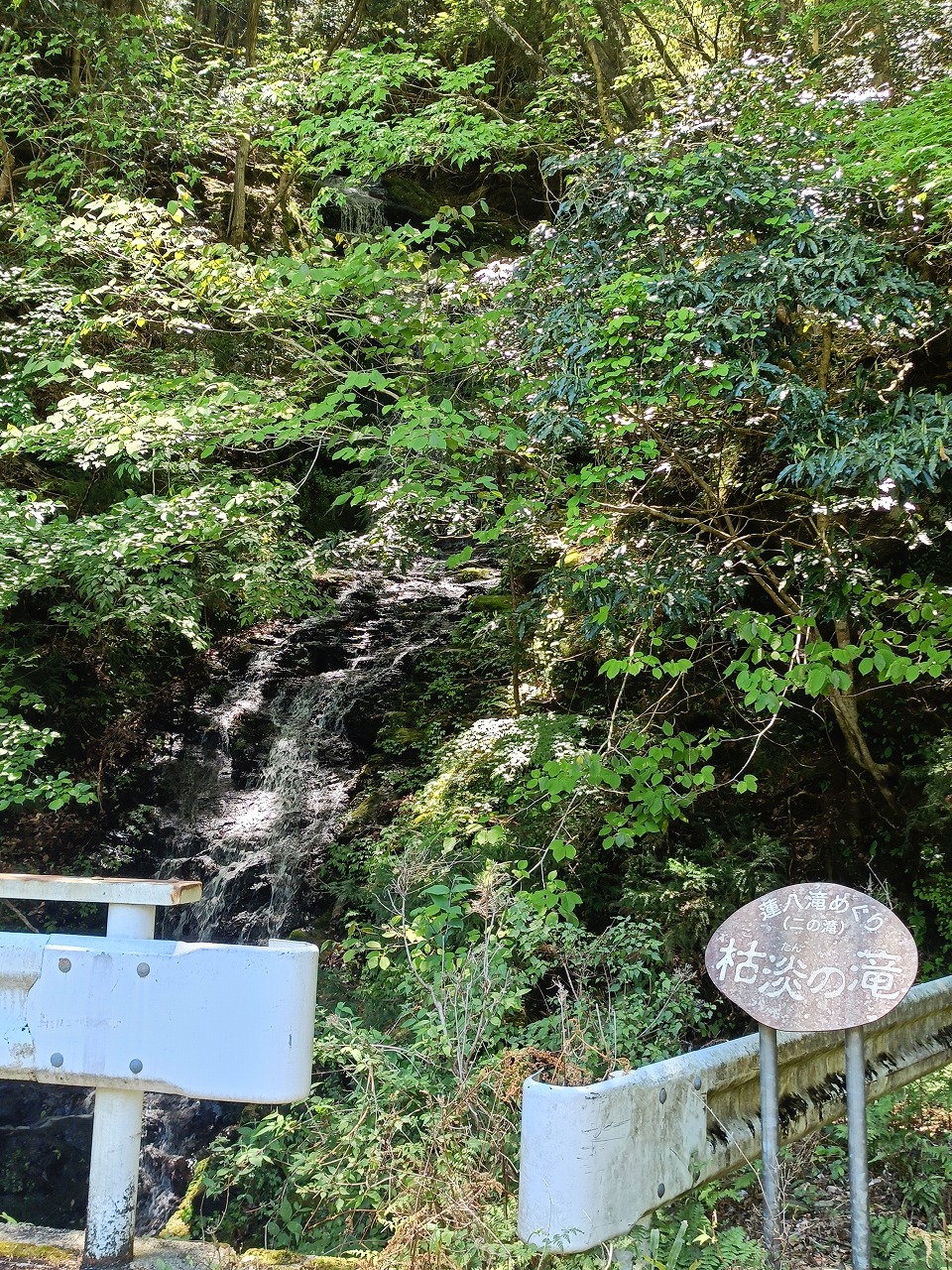 三重県　松阪市　蓮ダム　蓮八滝　枯淡の滝