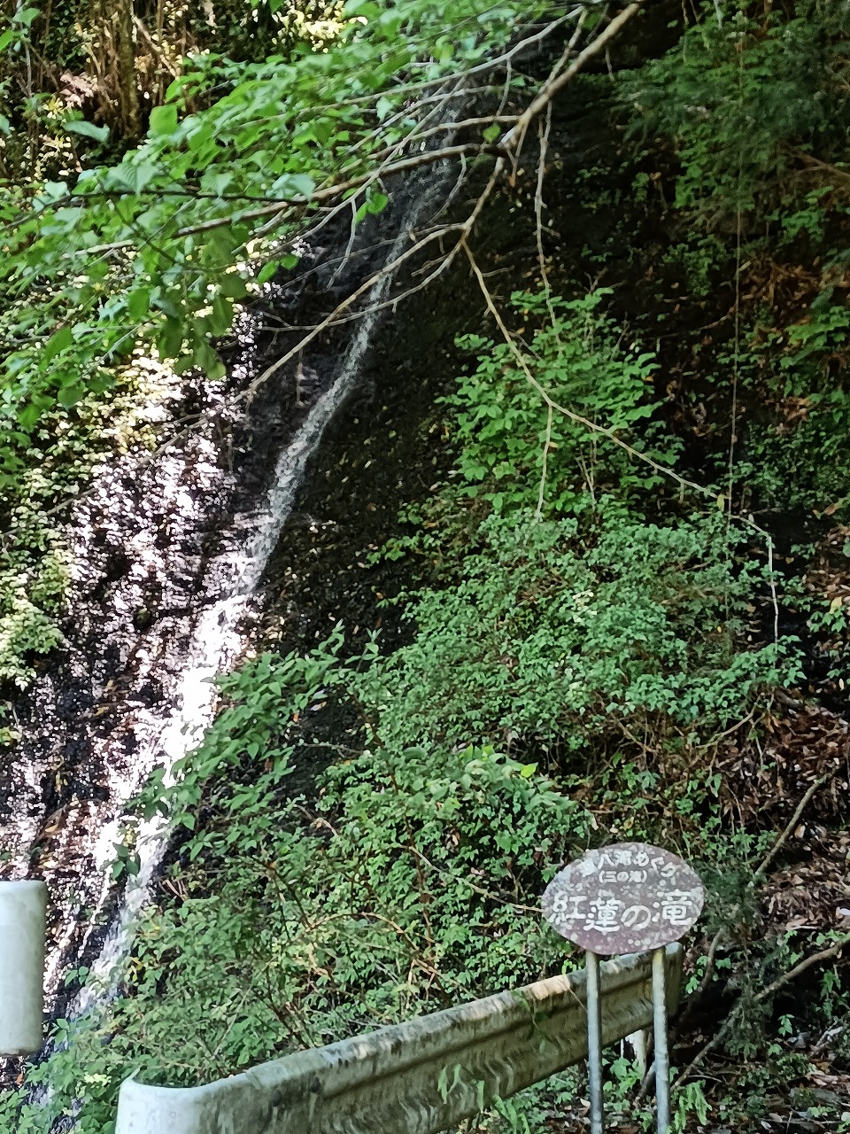 三重県　松阪市　蓮ダム　蓮八滝　紅蓮の滝
