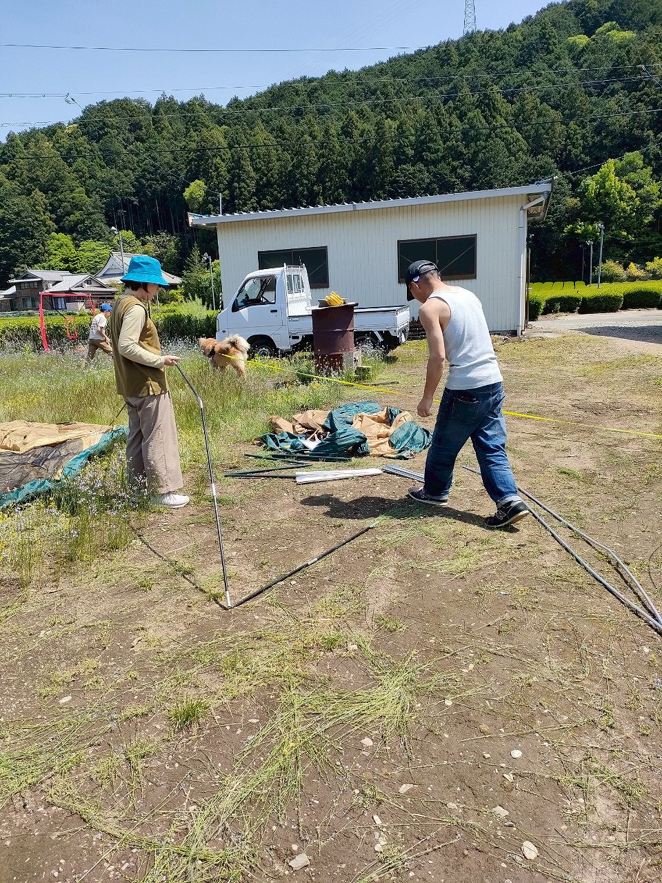 GW　実家帰省　畑でテント張り　キャンプ　三重県　カワイ建築工房