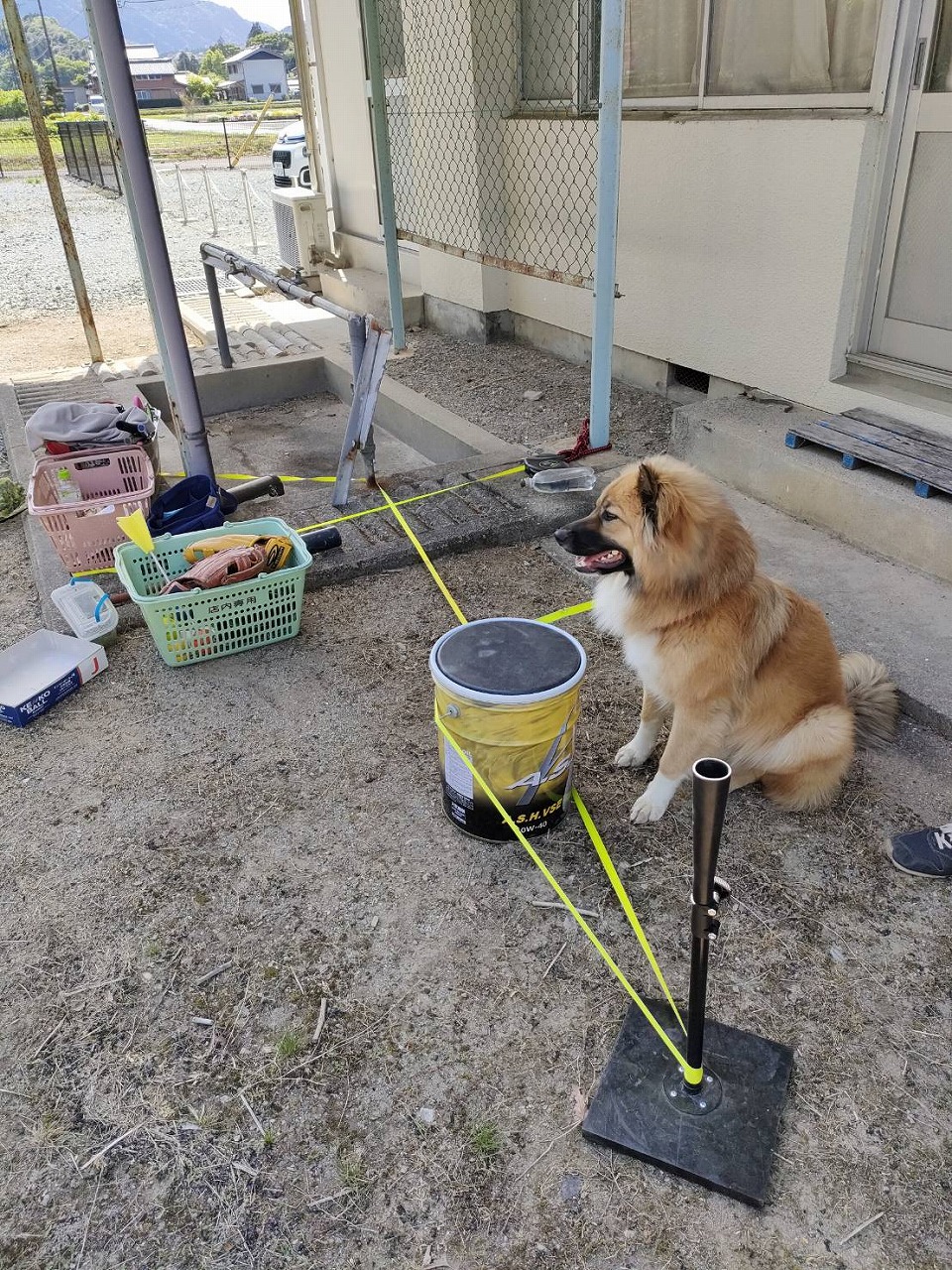 小学校　廃校　グラウンド　野球練習　琥珀　絡まる　GW　三重県　カワイ建築工房