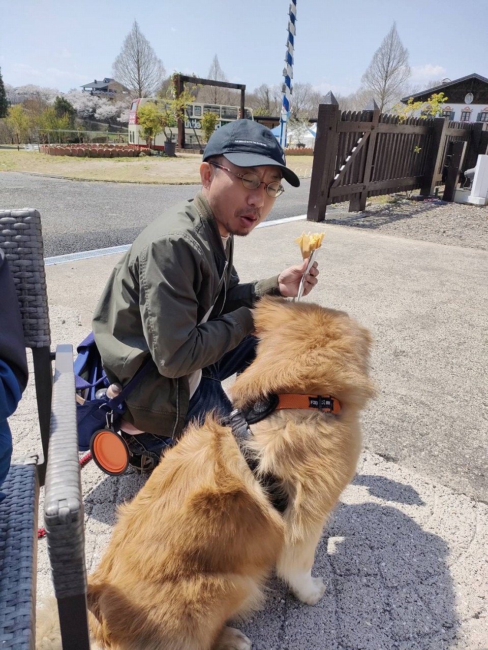 リトルワールド　桜　ペット同伴　雑種犬　春休み　お出かけ　謎解き　クレープ　カワイ建築工房