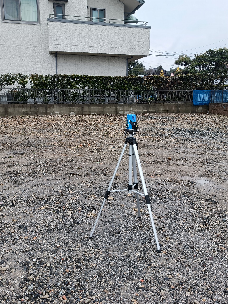 桜の下　長男　琥珀　雑種　保護犬　奇跡の写真　知多市　カワイ建築工房