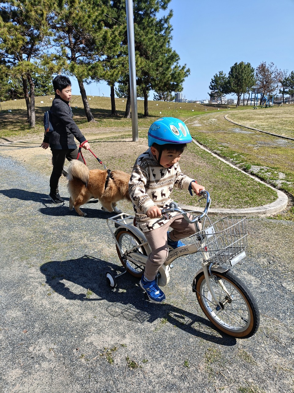春休み　新舞子　外遊び　自転車練習　ドッグラン　知多市　カワイ建築工房