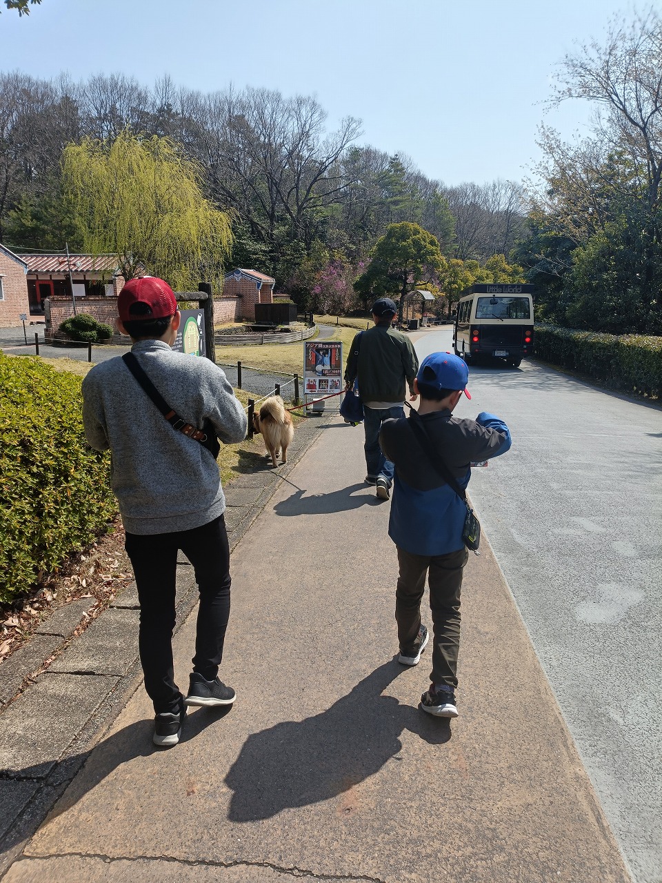 リトルワールド　桜　ペット同伴　雑種犬　春休み　お出かけ　謎解き　クレープ　カワイ建築工房