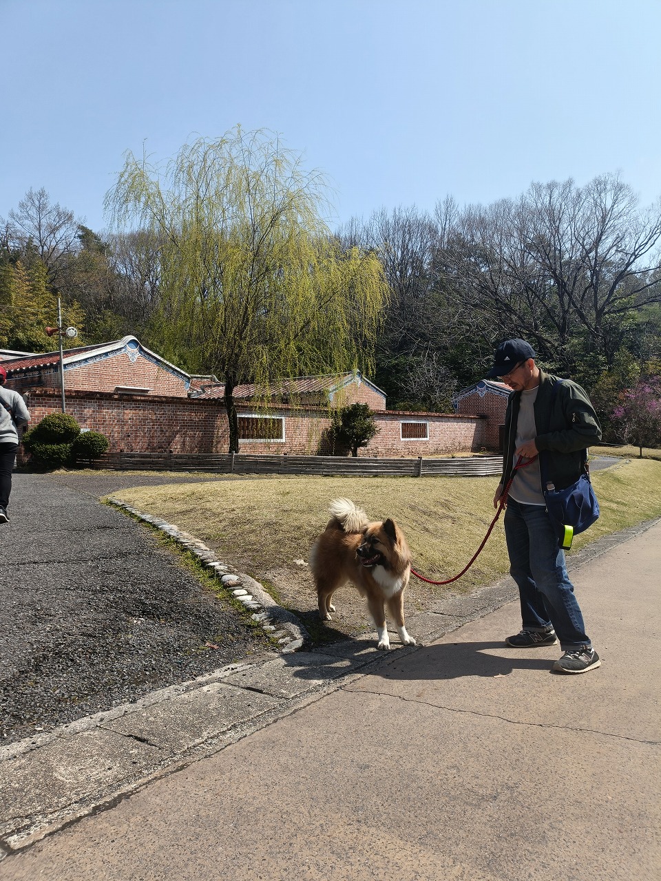 リトルワールド　桜　ペット同伴　雑種犬　春休み　お出かけ　謎解き　クレープ　カワイ建築工房