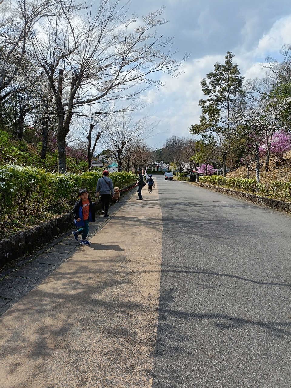 リトルワールド　桜　ペット同伴　雑種犬　春休み　お出かけ　謎解き　クレープ　カワイ建築工房