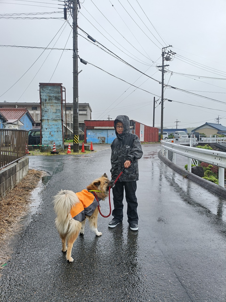 保護犬　散歩　雨の日　カッパ　雑種　知多市　カワイ建築工房