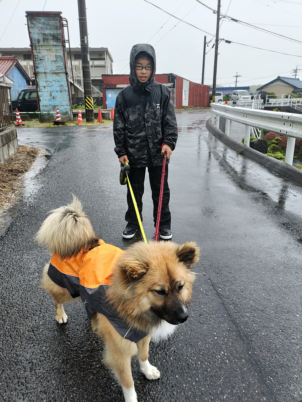 保護犬　散歩　雨の日　カッパ　雑種　知多市　カワイ建築工房