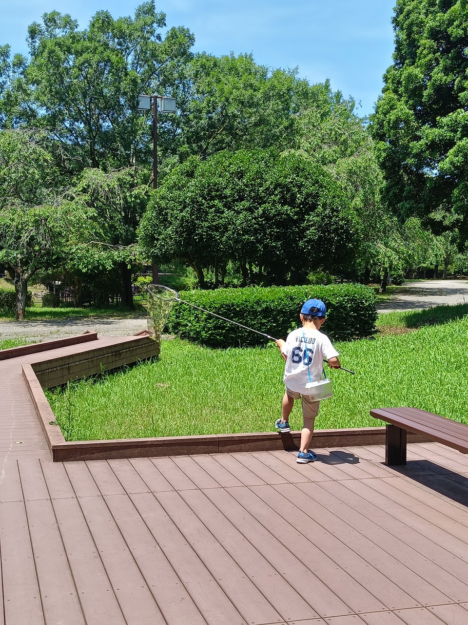 旭公園　虫取り　遊具　新しいアスレチック　知多市