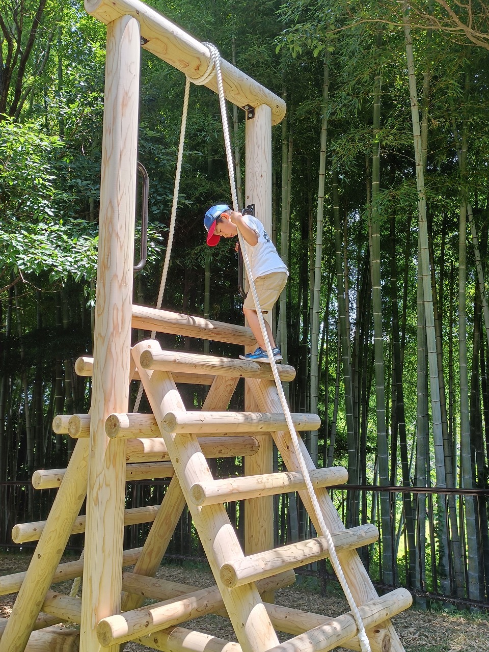 旭公園　虫取り　遊具　新しいアスレチック　知多市