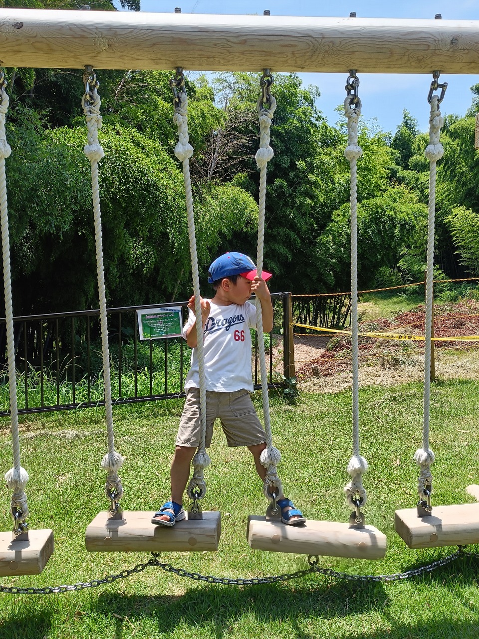 旭公園　虫取り　遊具　新しいアスレチック　知多市