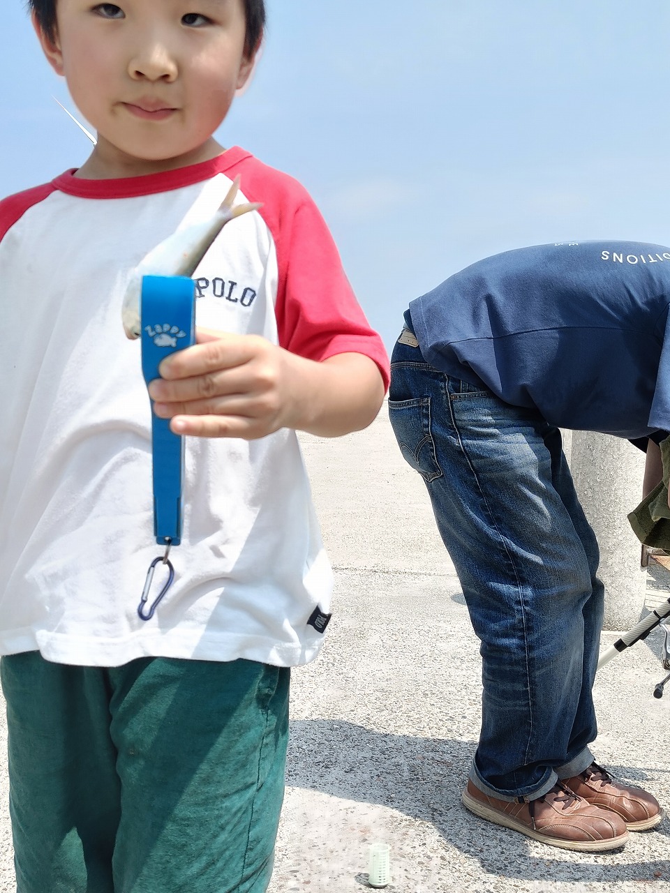 新舞子　夏　釣り　サッパ　アジ　釣果７５匹　知多市　カワイ建築工房
