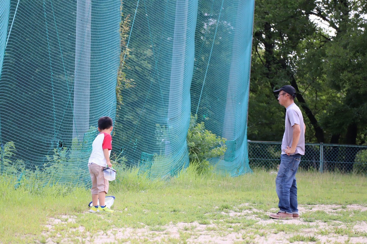 三男　野球観戦　虫取り　暇つぶし