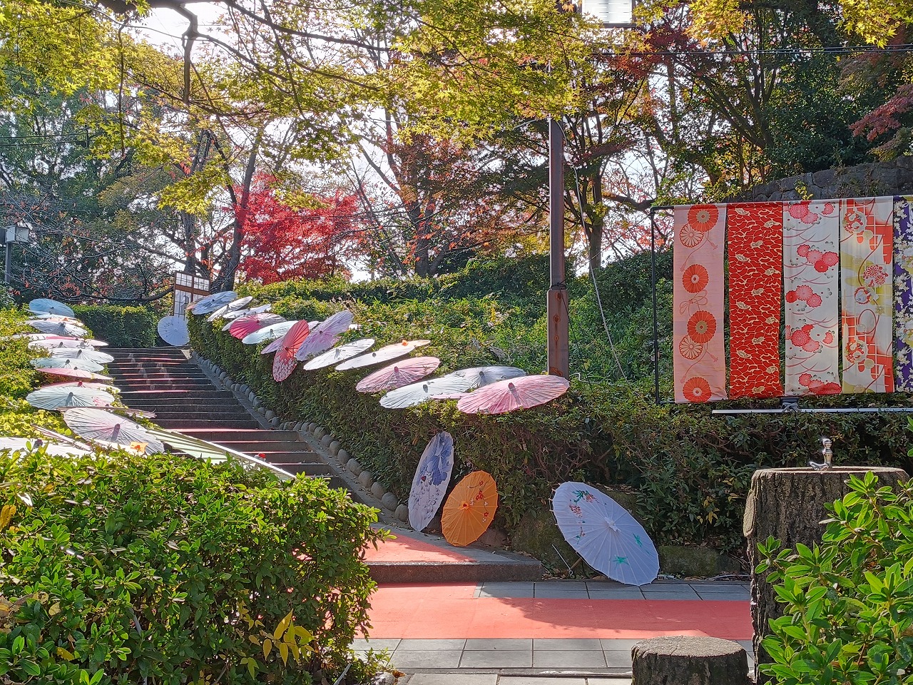 清須城　和傘　色鮮やか　キレイ