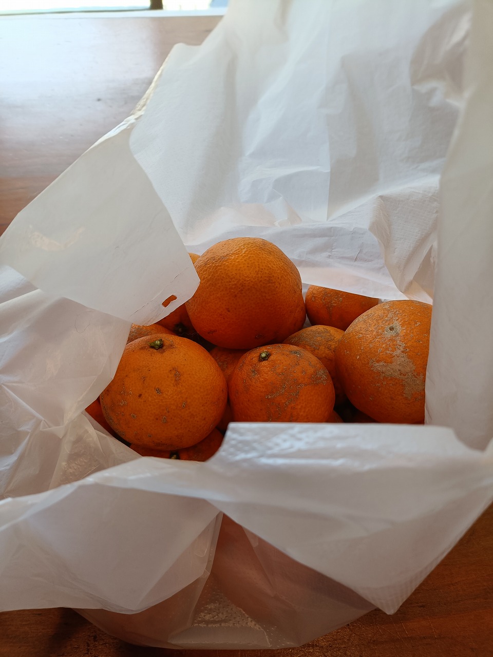 赤見果樹園　みかん袋詰め　知多市　カワイ建築工房